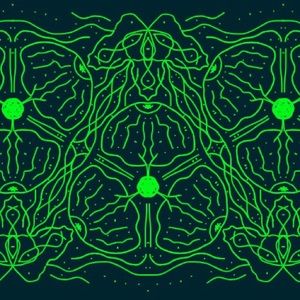 Meet your Posher, Colin